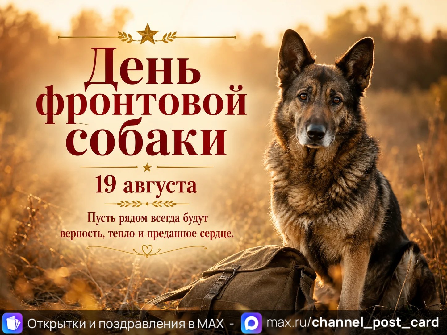 День Фронтовой Собаки — открытка «День фронтовой собаки»