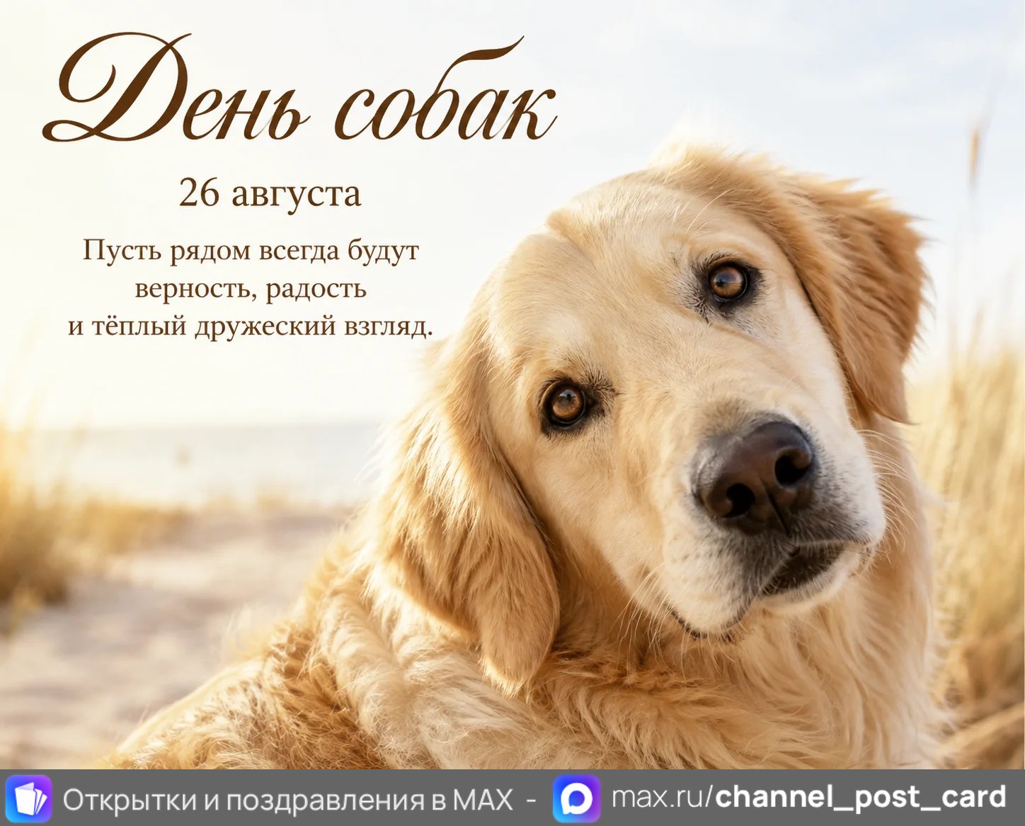 Открытка «День Собак»